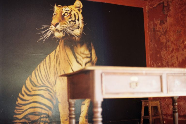 40066116_1846476105447667_4669339378781257728_o