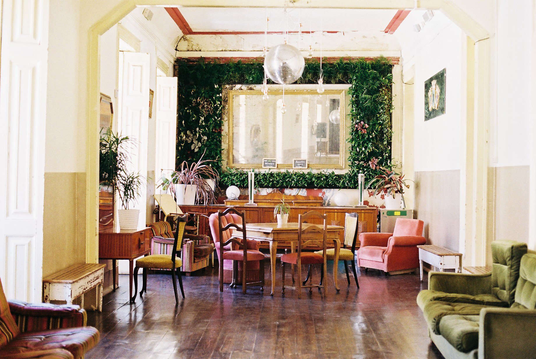 50570684_2053556964739579_4352890904286068736_n